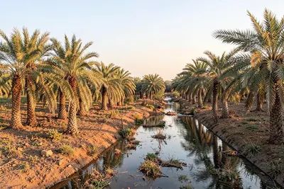 أرض للبيع في حي العارض — الرياض — صورة 1 (بيانات عرض)